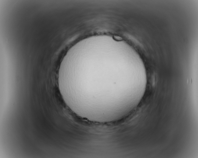 X0000084021207200703091941