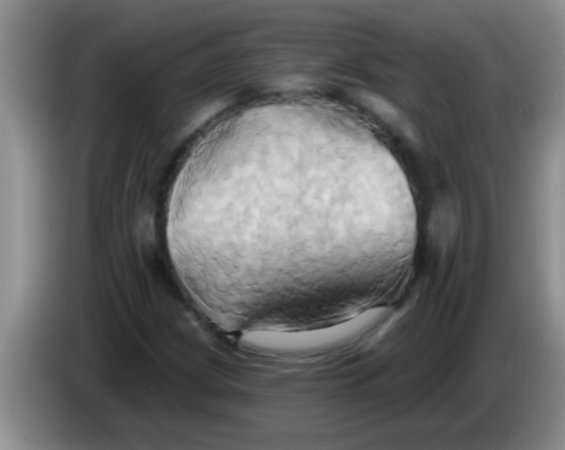 X0000084021209200703091941