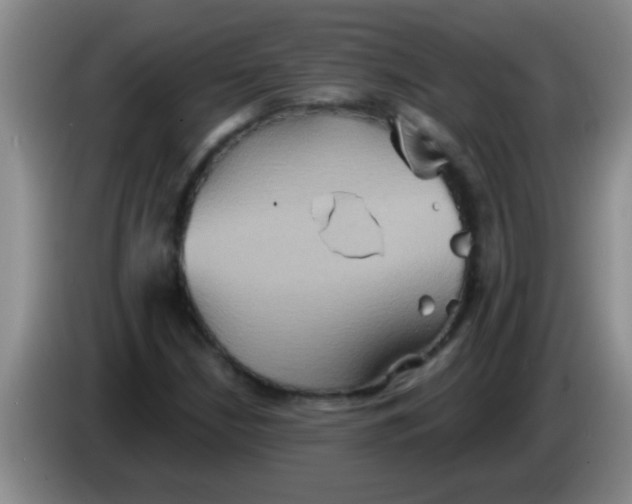 X0000084021210200703091941