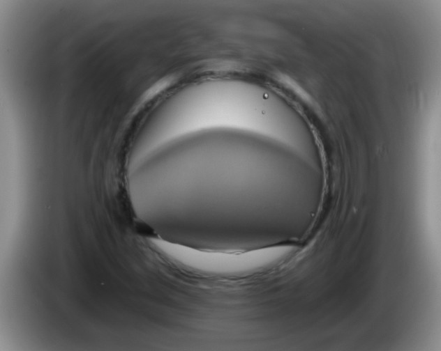 X0000084021213200703091941