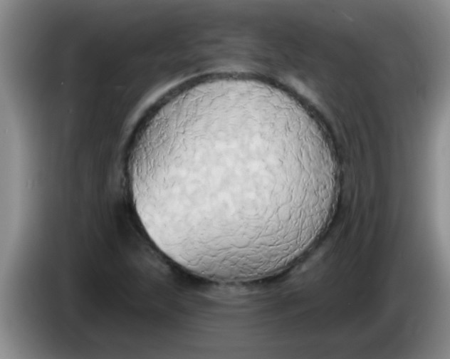 X0000084021215200703091941