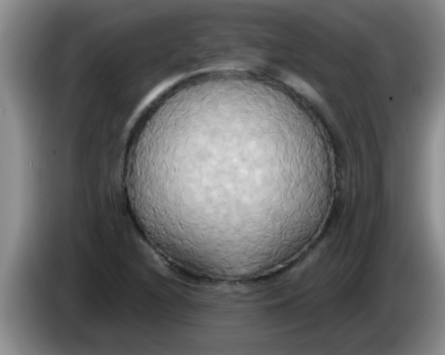 X0000084021216200703091941