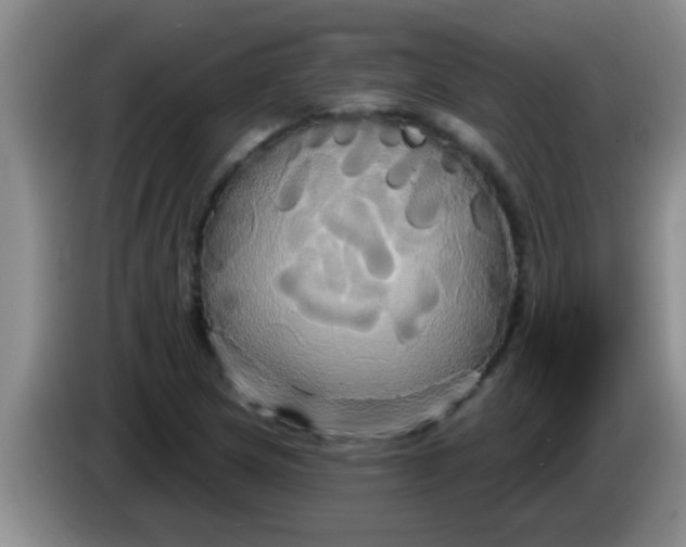 X0000084021217200703091941