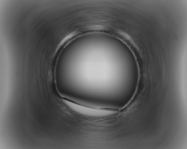 X0000084021218200703091941