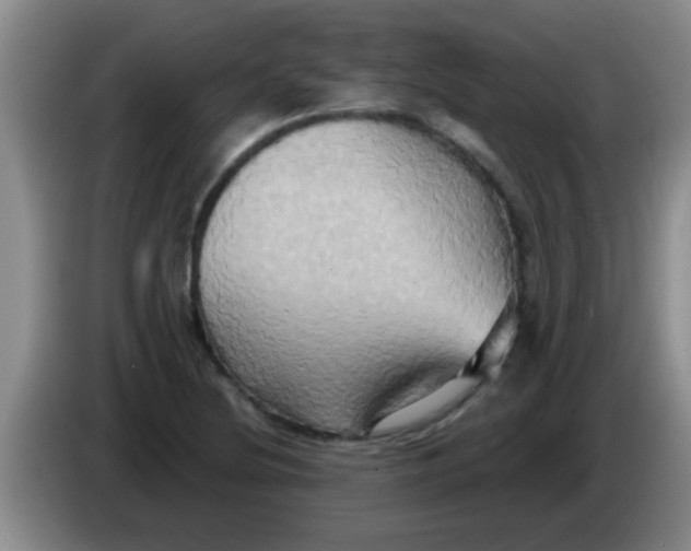 X0000084021220200703091941