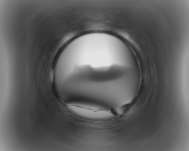 X0000084021221200703091941