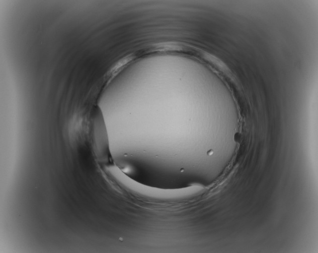 X0000084021225200703091941