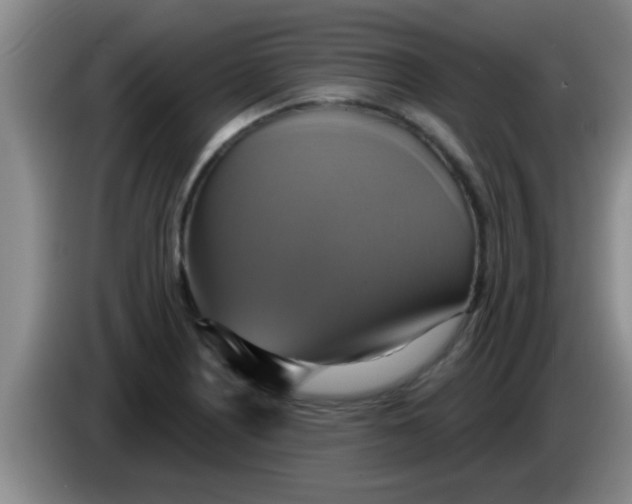 X0000084021226200703091941