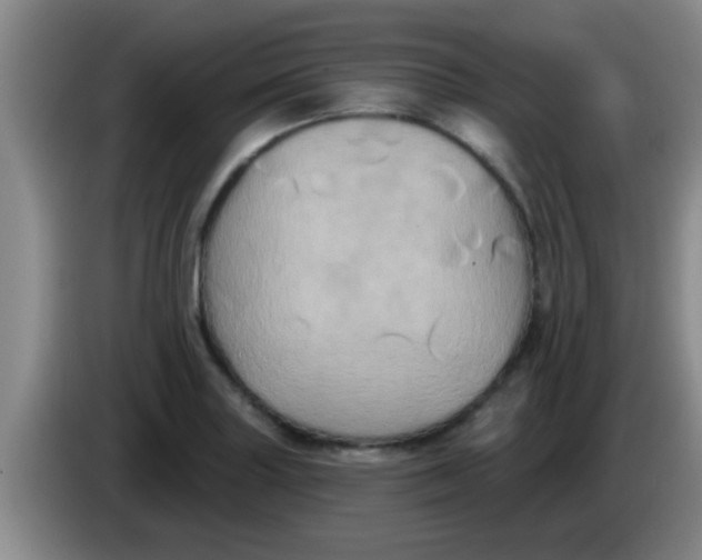 X0000084021227200703091941