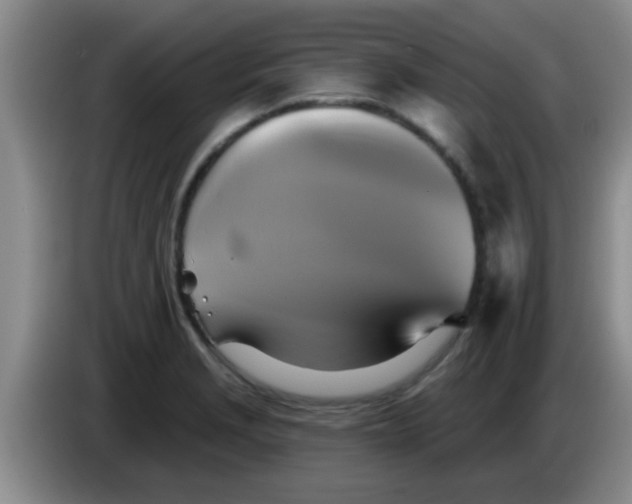 X0000084021229200703091941