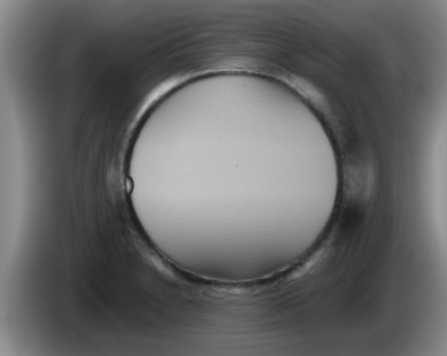 X0000084021230200703091941