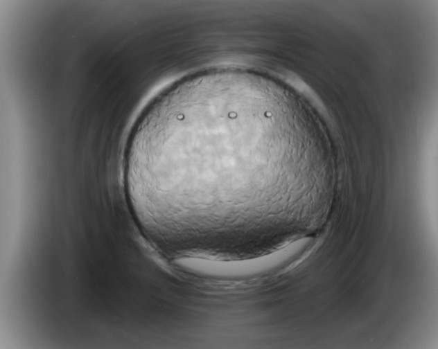 X0000084021232200703091941