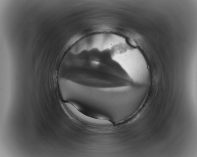 X0000084021233200703091941