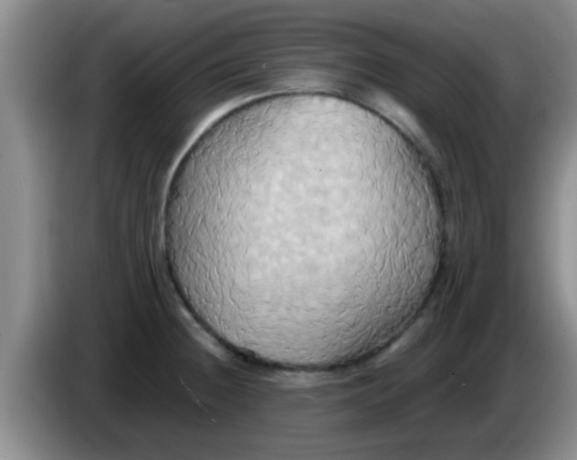 X0000084021236200703091941