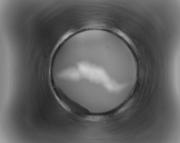 X0000084021237200703091941