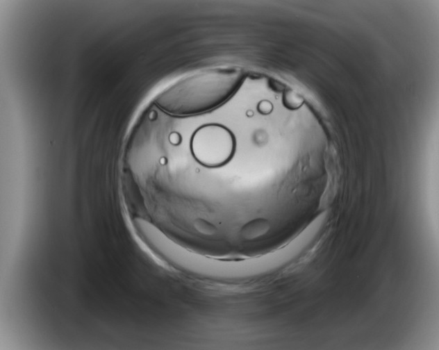 X0000084021239200703091941