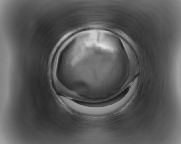 X0000084021240200703091941