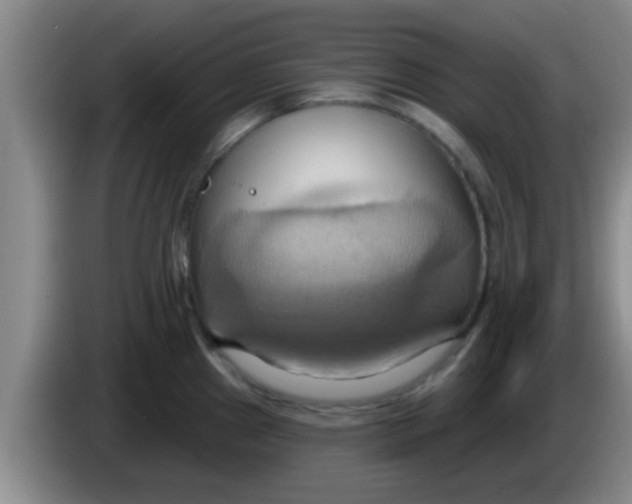 X0000084021241200703091941