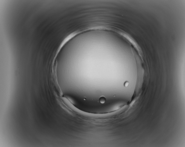 X0000084021242200703091941