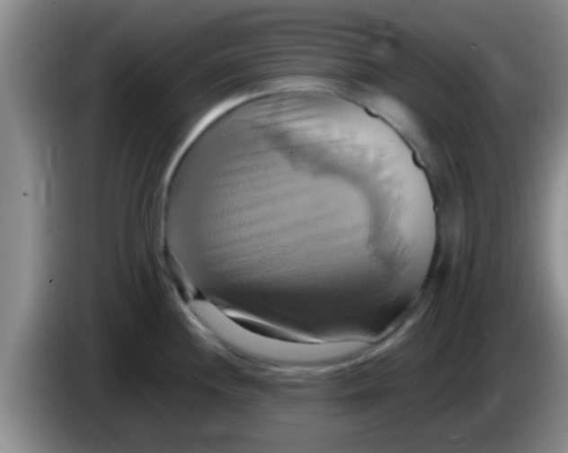 X0000084021244200703091941