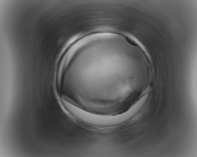 X0000084021245200703091941