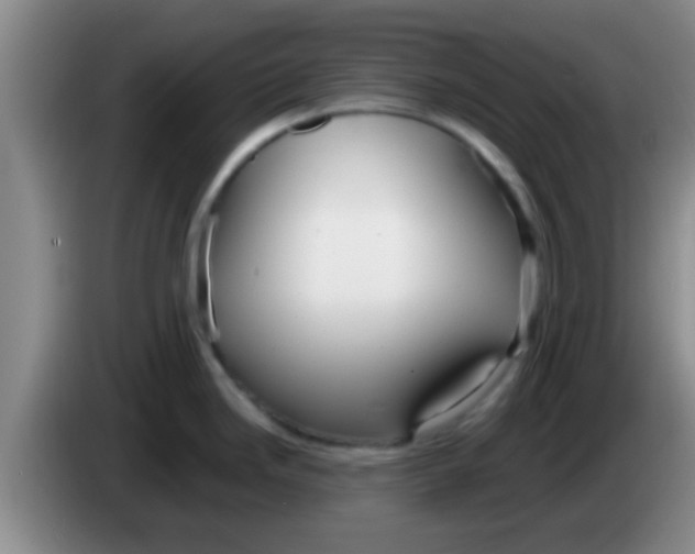 X0000084021246200703091941