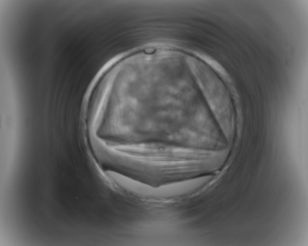 X0000084021248200703091941