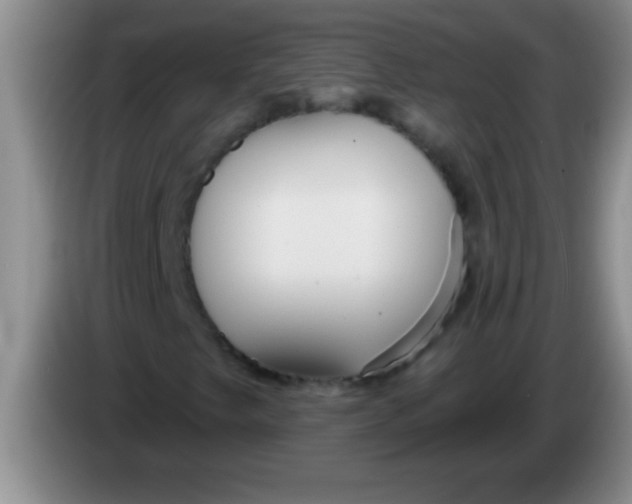 X0000084021249200703091941