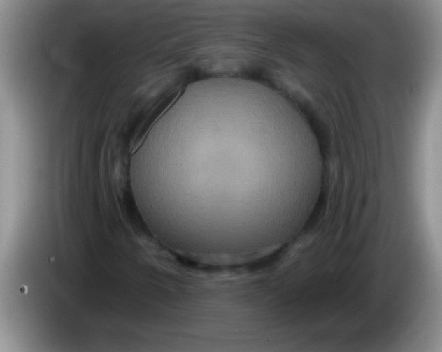 X0000084021250200703091941