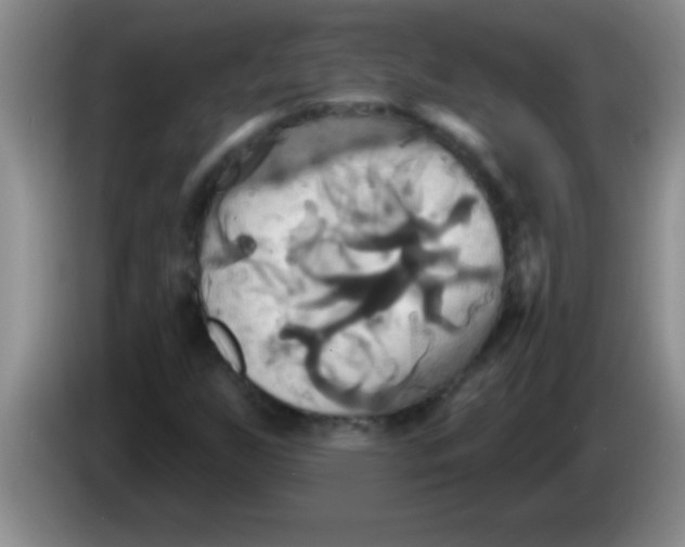 X0000084021255200703091940