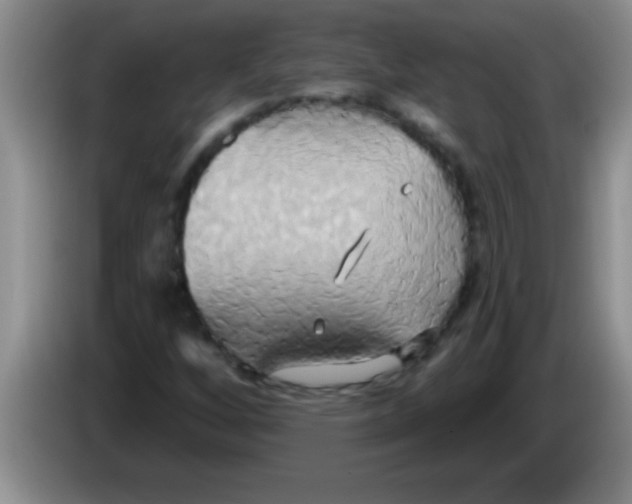 X0000084021256200703091940