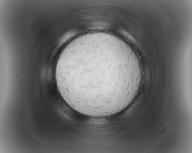 X0000084021258200703091940