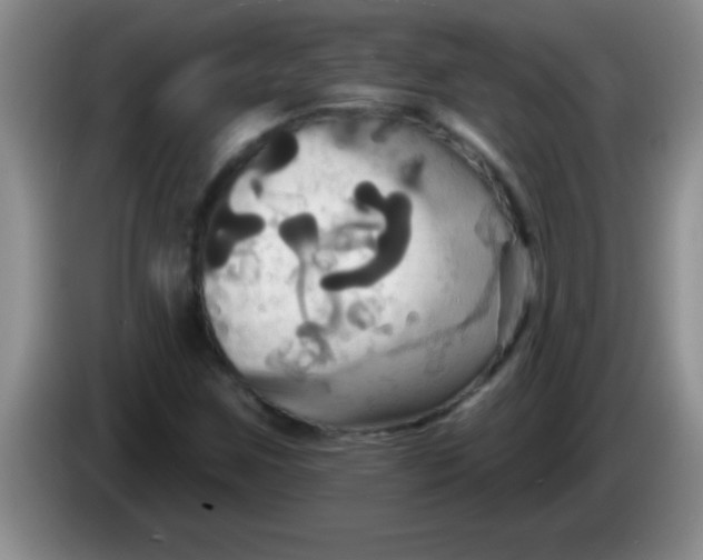 X0000084021259200703091940