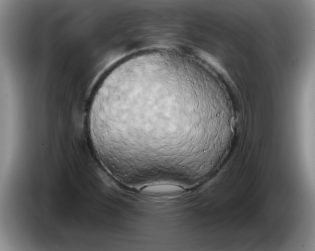 X0000084021260200703091940