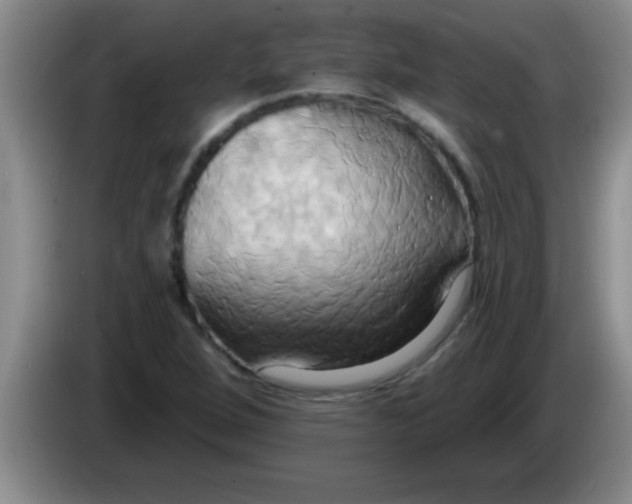 X0000084021264200703091940