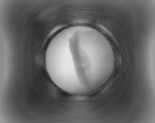 X0000084021266200703091940