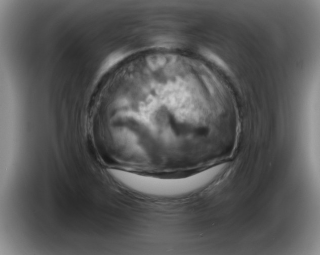 X0000084021267200703091940