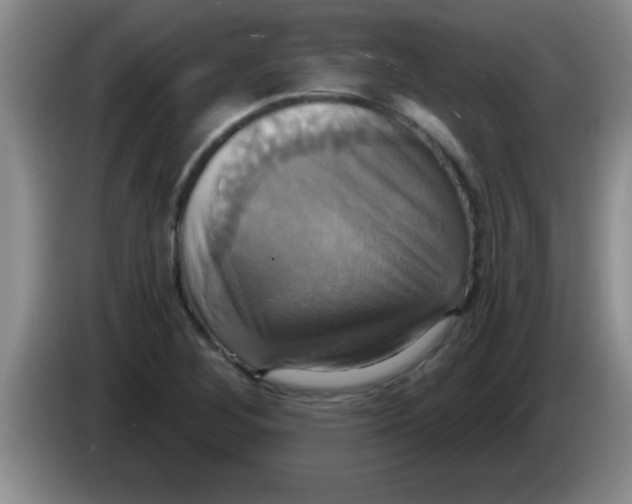 X0000084021268200703091940