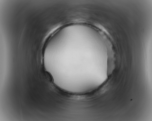 X0000084021269200703091940