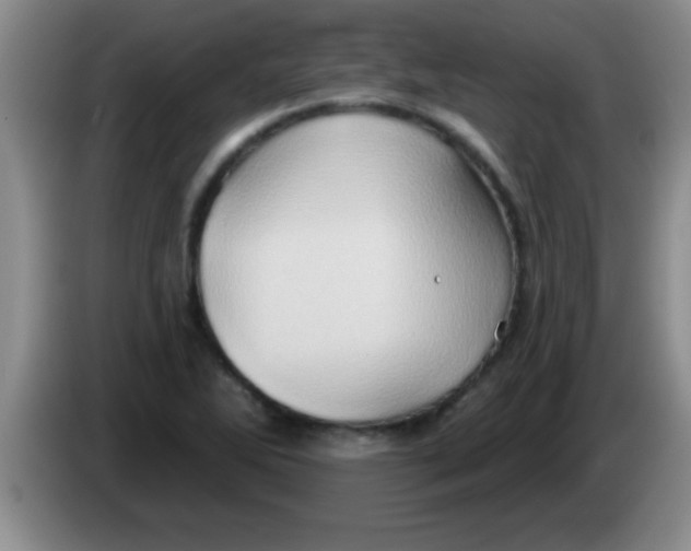 X0000084021270200703091940