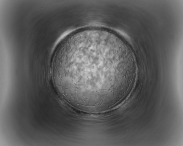 X0000084021271200703091940