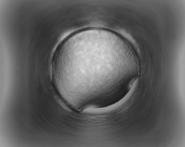 X0000084021272200703091940