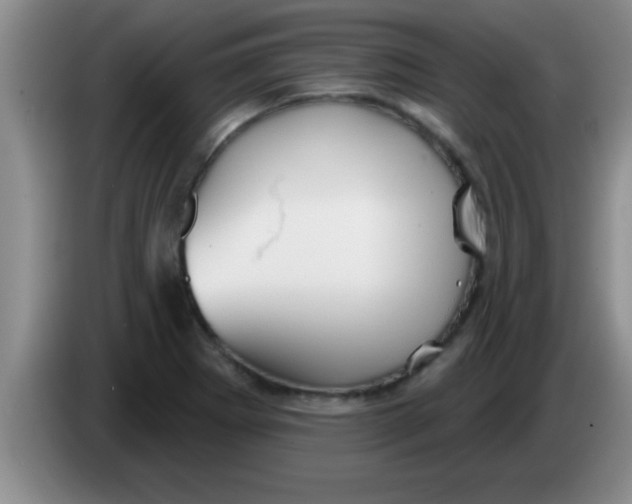 X0000084021273200703091940