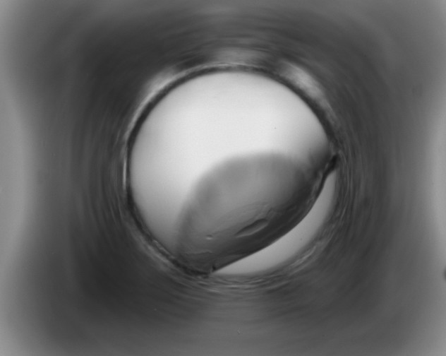 X0000084021275200703091940