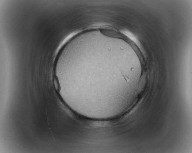 X0000084021277200703091940