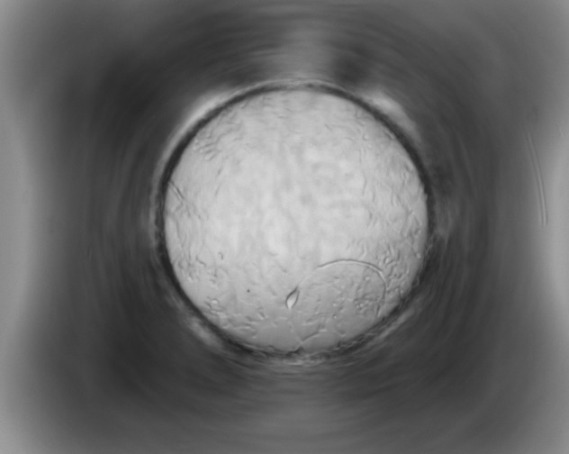 X0000084021278200703091940