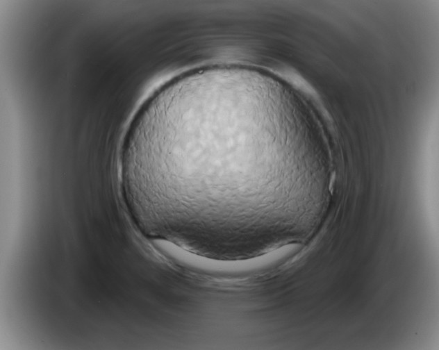 X0000084021280200703091940