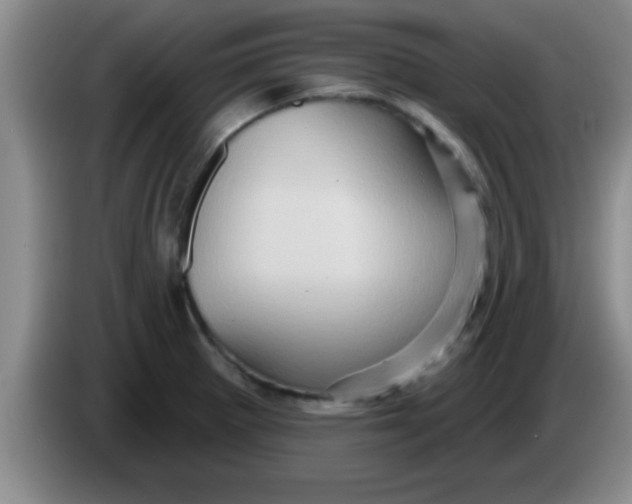 X0000084021281200703091940