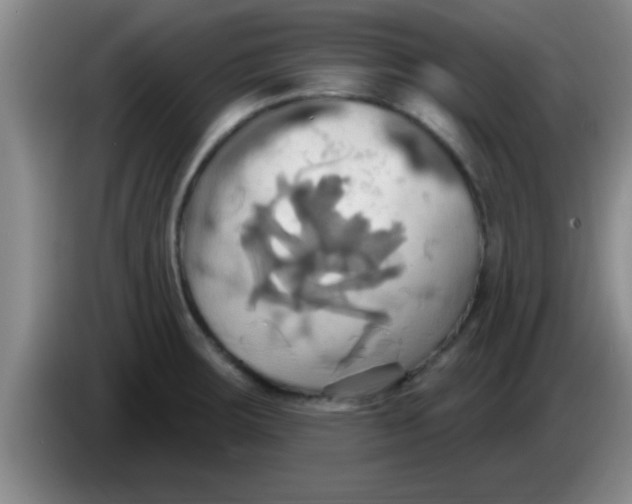 X0000084021283200703091940