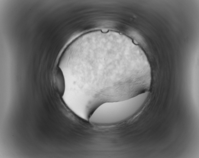 X0000084021284200703091940